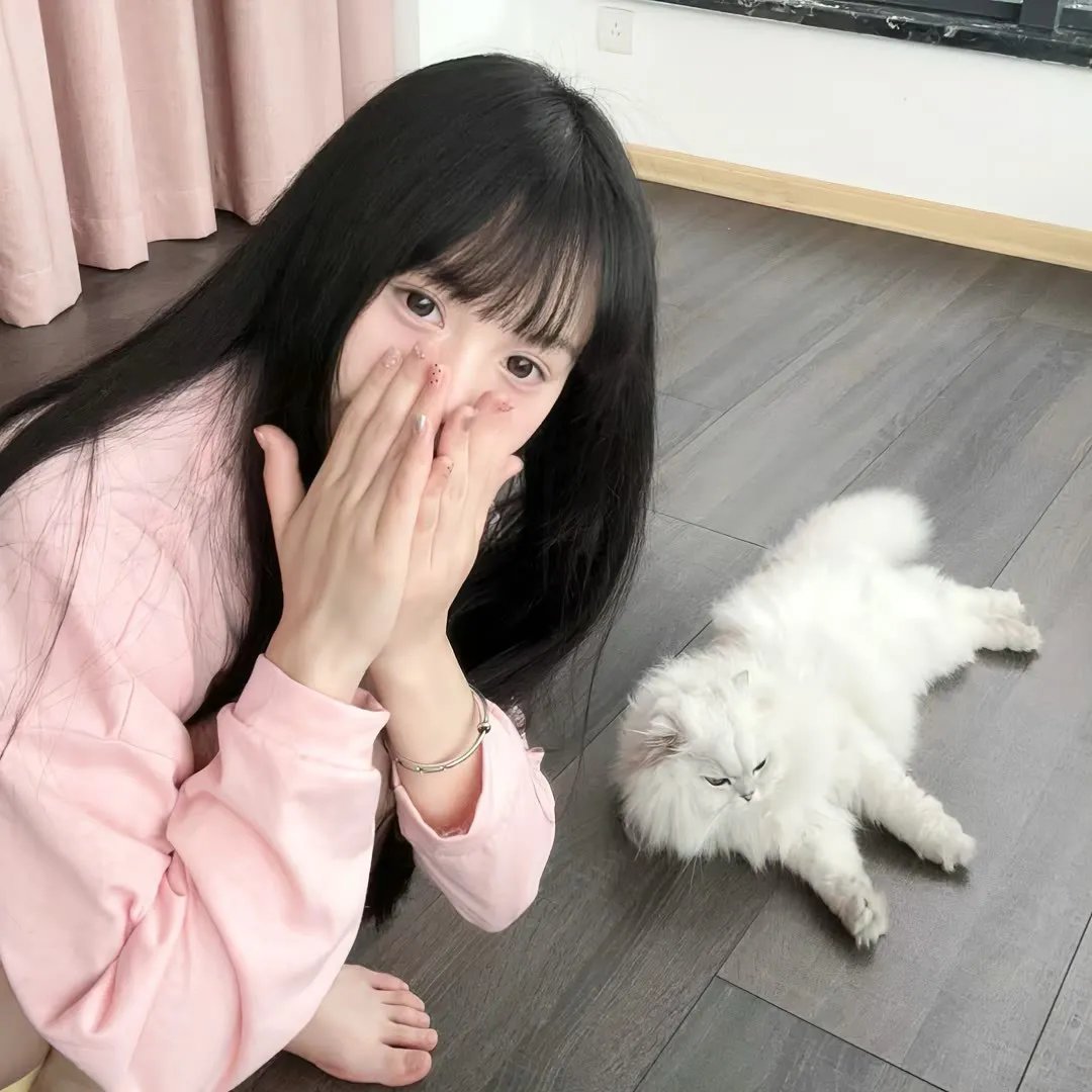神探罗蒙3